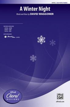 A Winter Night (AL-00-34792)