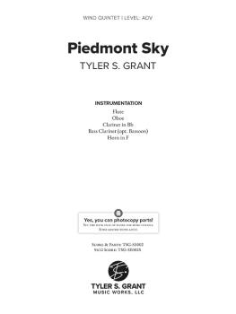 Piedmont Sky (AL-98-TSGSE002)